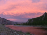 mongolia taimen river