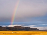henry-gilbey-mongolia-1009.jpg