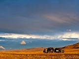 henry-gilbey-mongolia-1020.jpg
