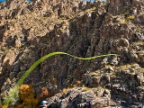 henry-gilbey-mongolia-fly-fishing-2643.jpg