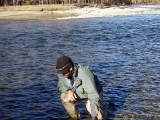 Fish Bum 1 Mongolia River Wolf