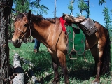 Mongolia fly fishing expeditions