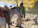 horse-back-expedition