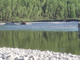 Taimen Headwaters Fly Fishing Expeditions